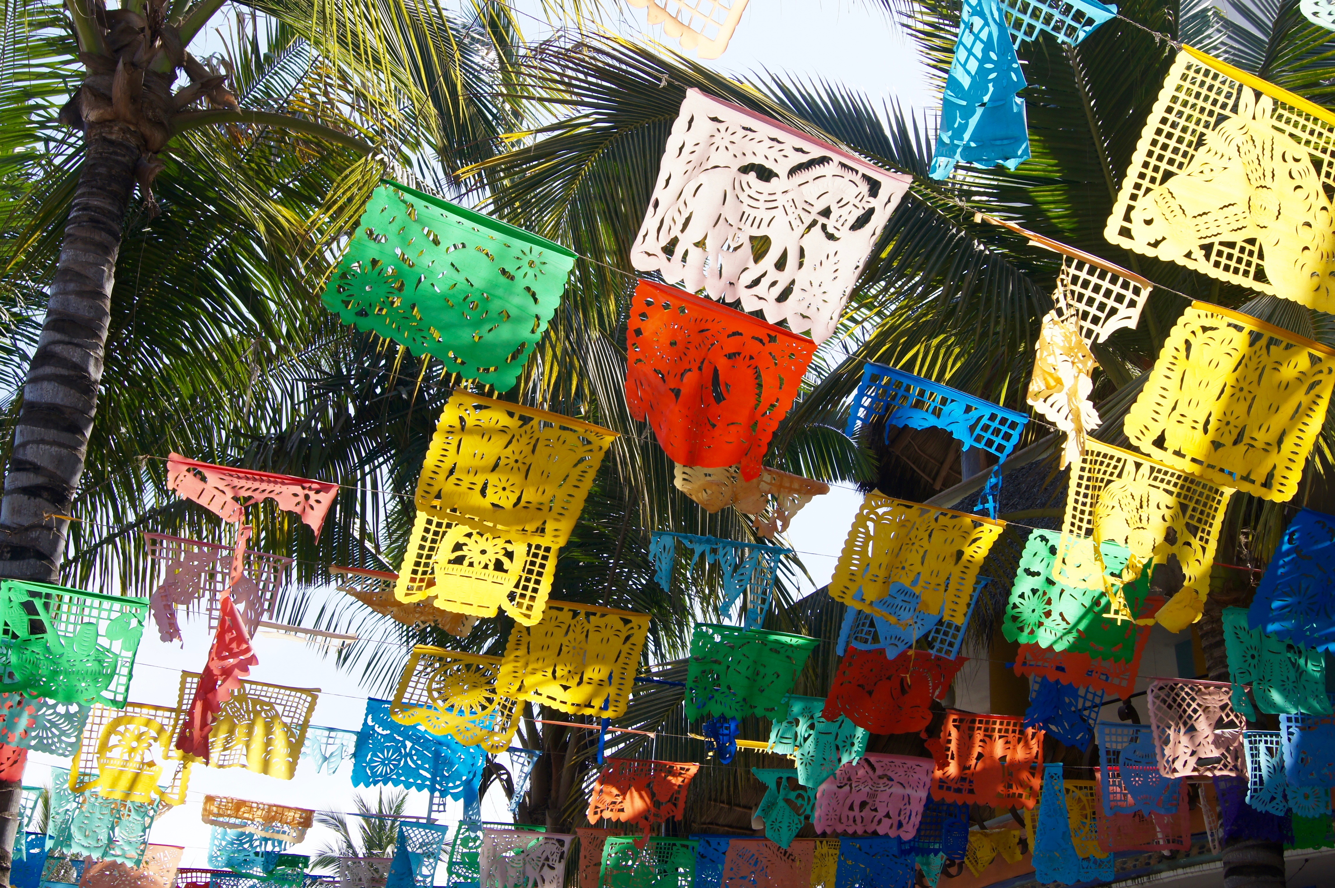 4 Things To Do In the Riviera Nayarit