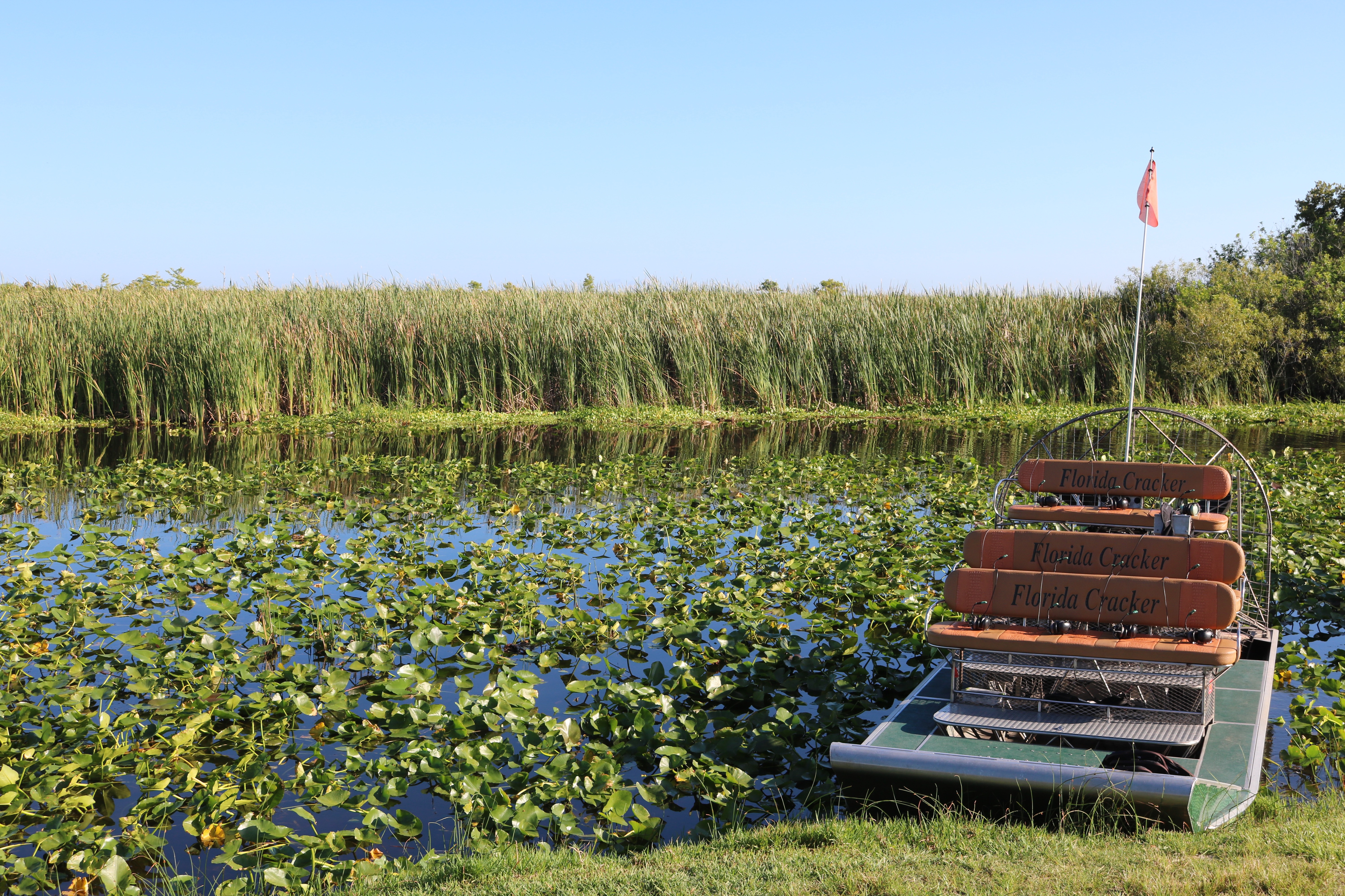 What to Expect on an Airboat Ride