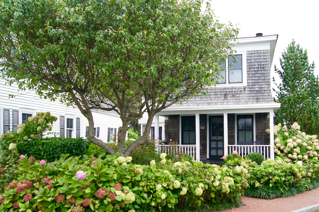 The Perfect Provincetown Vacation Rental