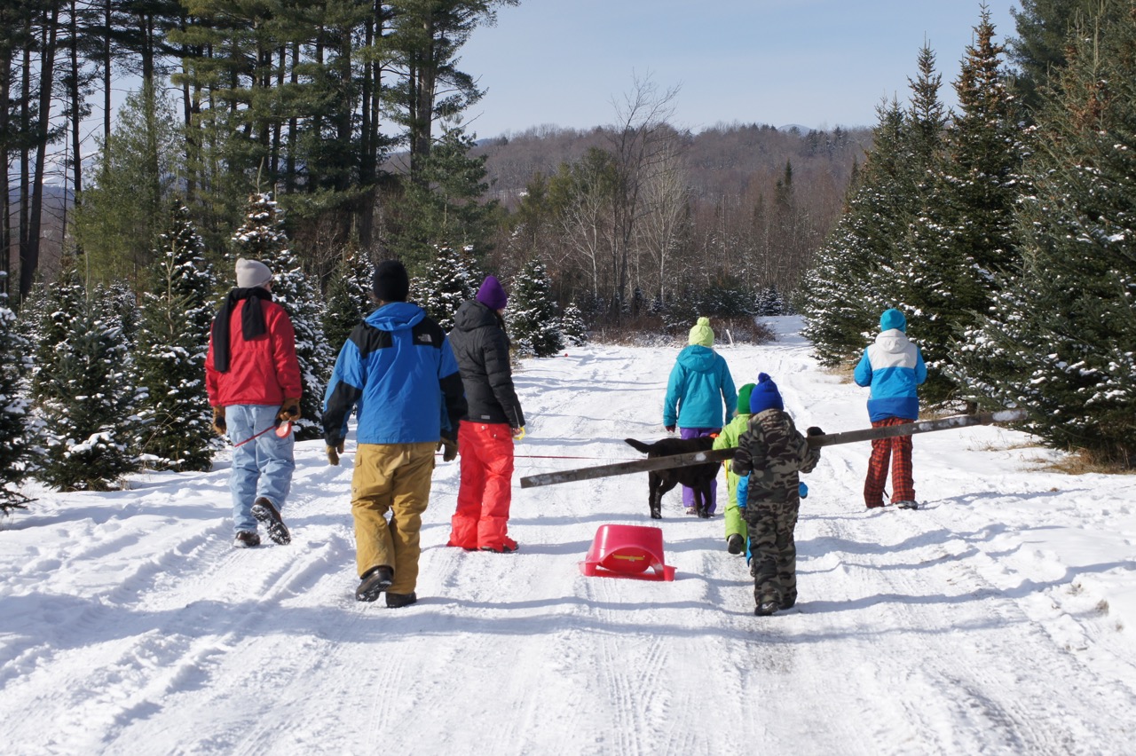 Choose and Cut Christmas Tree Farms in Vermont