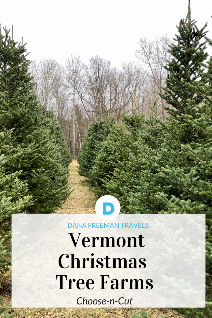 Dana Freeman Travels Vermont Christmas Tree Farms Dana Freeman Travels