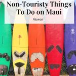 Things to Do on Maui